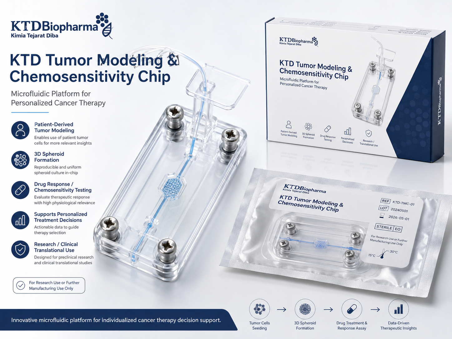 Tumor Modeling & Chemosensitivity Evaluation Platform — illustrative program visualization